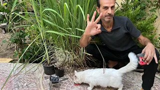 عاوز تتخلص من الزواحف والحشرات الكبيرة 🦎🐍🐛 وتعيش في أمان تام 😌 3 حاجات لازم تعملها 👌