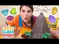 Caitie s Classroom Live - The Five Senses
