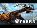 How to get a Wyvern Tame Eggs and Milk Ark Survival Evolved