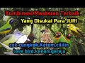 Download Lagu Kombinasi masteran burung lomba terbaik/murai batu