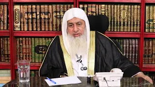 ما رأيك بكتاب قصص الأنبياء لابن كثير   الشيخ مصطفى العدوي دندنها