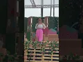 20230319高雄夢時代粉紅野餐日 洗菜-碎的
