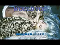 [Vietsub] WOULD YOU - TAEYANG (feat. TARZZAN, WOOCHAN)
