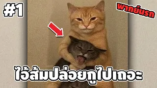 Ep.1 สัตว์โลกกวนตีน SS4 - [ พากย์นรก ] | easy boy X2