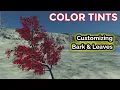 NVL New Feature Color Tint Support for Bark Leaves Procedural Tree Generator