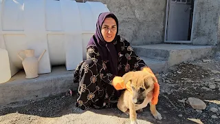 A Video That Anisa S Followers Must See Removing The Fake Channel By Informing Fatima 