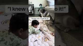 Watch our dog and baby grow together