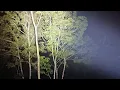 Download Lagu LIVE MISTERI!!!!!!!  ADA APAKAH SEBENARNYA?? KITA SURUH DATANGI LAGI LOKASI INI