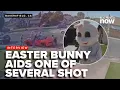 Person in Easter Bunny costume aiding one of several shot in Bakersfield