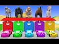 Lagu Long Slide Game with Cow Elephant Gorilla Hippopotamus Tiger 3d Animal Game Funny 3d Animals