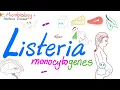 Download Lagu Listeria monocytogenes Characteristics | Microbiology 🧫 \u0026 Infectious Diseases