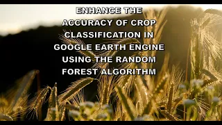 Enhance the accuracy of crop classification in Google Earth Engine using the Random Forest algorithm