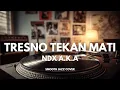 Lagu Tresno Tekan Mati - NDX AKA | Smooth Jazz Cover by The Vinyl
