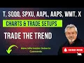 T SQQQ SPXU AAPL Rick s Pre-Market Charts Setups Targets 8-9-24