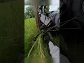 Female biker makes a ROOKIE mistake