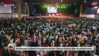 Adam Harun Michuu Baayyeen Qaba Afran Qallo Concert New Oromo Music 2019 