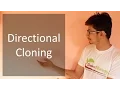 Directional cloning