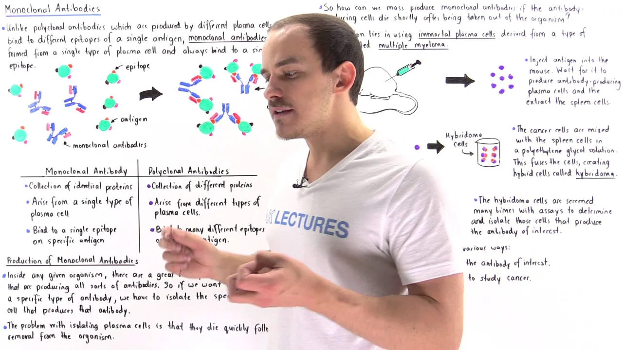Monoclonal Antibodies