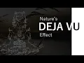 Download Lagu Nature’s DEJA VU Effect | Alternative Rock Song | Nature Visualizer