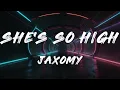 Jaxomy, Conor Maynard - She's So High (Lyrics)