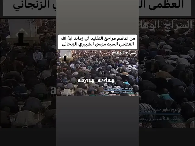⁣المرجع الشبيري الزنجاني في محراب الصلاة
