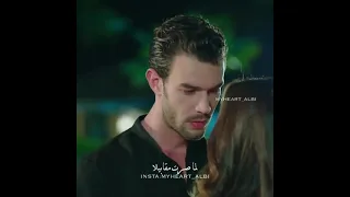 شفتا بشارع الحمرا ادا وبورا 2 