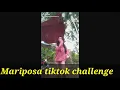 Download Lagu Mariposa tiktok challenge