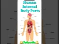 Human internal body parts