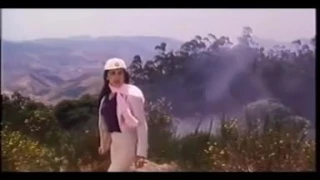 آرش نظم خواه  آرش نظم خواه