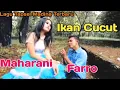 Download Lagu IKAN CUCUT. VOC FARRO SIMAMORA FT MAHARANI. BY NAMIRO PRODUCTION. Lagu Tapsel Terbaru.