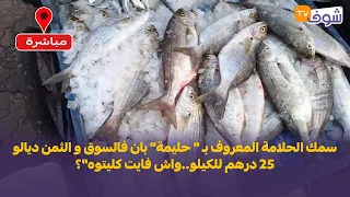 سمك الحلامة المعروف ب    حليمة  بان فالسوق و الثمن ديالو    درهم للكيلو  واش فايت كليتوه   دندنها