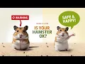 Hamster Body Language Explained What Your Hamster is Really Telling You