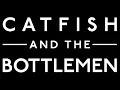 Catfish and the Bottlemen- Longshot (Full Lead Guitar Cover)