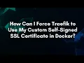 How Can I Force Traefik to Use My Custom Self-Signed SSL Certificate in Docker