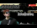 Download Lagu Vegetoz - kehadiranmu