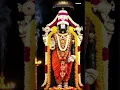 Lagu shri venkatesha..🙏❣️ #devotionalsongs #divinelife #song #venkateswaraswamy #balaji #tirupatibalaji