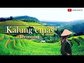 Download Lagu Kalung emas cover keroncong