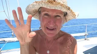 FREEDIVING with EAGLE RAYS, MANTA RAYS and SHARKS! (Sailing SV Sarean) EP. 68