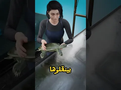 سِر القفل البلاستيكي! 🐢😱 إزاي بيصطادوا أشرس سلحفاة في العالم للمطاعم؟
