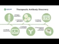 Therapeutic Antibody Discovery GenScript