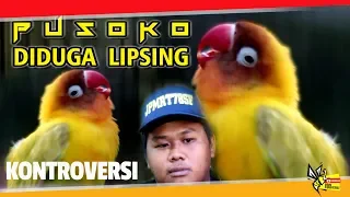 Download PIALA PANGLIMA TNI 2018 : KONTROVERSI DI DUGA LIPSING LOVEBIRD KONSLET PUSOKO MENANG MUTLAK MP3