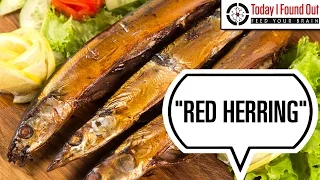 How the Phrase Red Herring Came to Mean Something That is Misleading