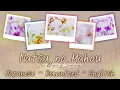 Download Lagu Natsu no Mahou - MAHO Do [KAN/ROM/EN Lyrics]