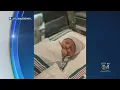 DeSantis Family Welcomes Third Child Into World