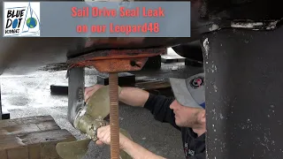 Sail Drive Seal Leak on our Leopard48 – Fishing Line around Prop Disaster – Feb2021