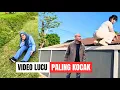 Lagu Kumpulan Video Lucu Paling Konyol Bikin Ngakak Sampai Perut Sakit | Komedi Lucu #funnyvideo 