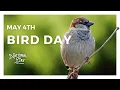 Bird Day May 4th - National Day Calendar