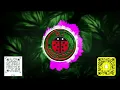الدنيا ملبشه  [ BPM - 113 ] - مسلم [ DJ COCCINELLE ] - [ REMIX ]