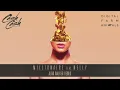 Cash Cash & Digital Farm Animals - Millionaire (feat. Nelly) [Alan Walker Remix]