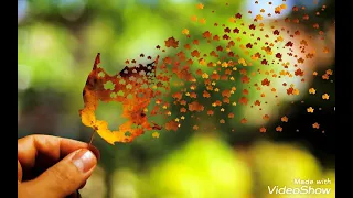 ghoonghat ki aadh eagle jhankar movie hum hain rahi pyaar ke 1993 singers alka yagnik u0026 kumar sanu